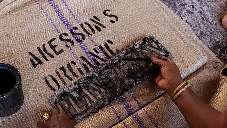 bio fairtrade kakaové bôby pre Zotter